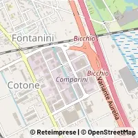 Carte Viareggio