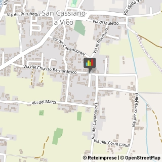 Pizzerie,55100Lucca
