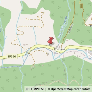 Mappa Frazione San Detole, 23, 50062 Dicomano, Firenze (Toscana)