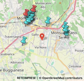 Mappa Via Guglielmo Marconi, 51018 Pieve A Nievole PT, Italia (2.202)