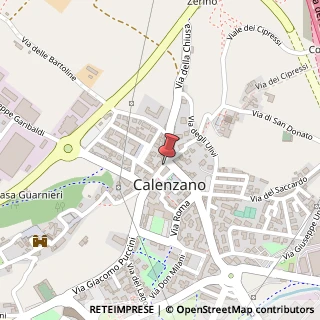 Mappa Via Giacomo Puccini, 55 c, 50041 Calenzano, Firenze (Toscana)