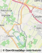 Articoli Sportivi - Dettaglio Pistoia,51100Pistoia