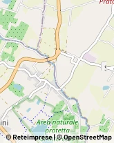 Articoli Sportivi - Dettaglio Pistoia,51100Pistoia