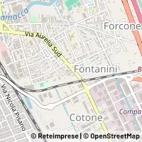 Kort Viareggio