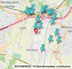 Mappa Via Grazia Deledda, 51018 Pieve A Nievole PT, Italia (1.012)