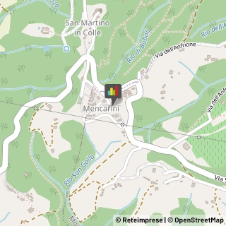 ,55015Lucca