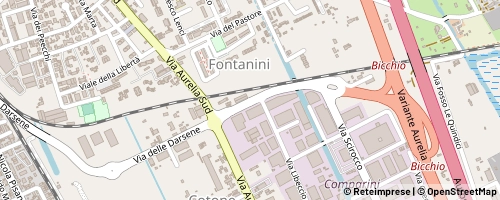 Mappa Viareggio