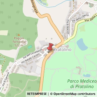 Mappa Via Fiorentina Pratolino, 457, 50036 Vaglia, Firenze (Toscana)