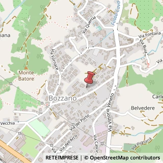Mappa Via del Piano, 20/A, 55054 Massarosa, Lucca (Toscana)