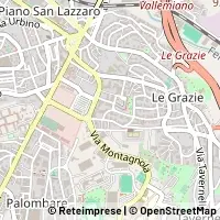 Kart Ancona