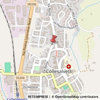 Mappa Via roma 317, 57014 Collesalvetti, Livorno (Toscana)