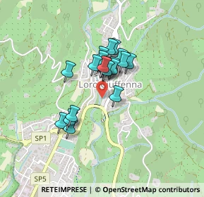 Mappa Strada Provinciale 85 Setteponti, 52024 Loro Ciuffenna AR, Italia (0.305)