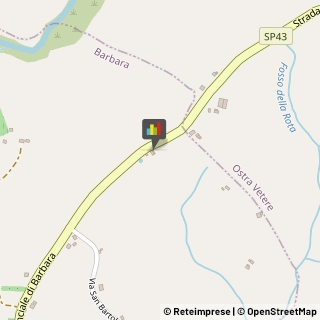 Animali Domestici - Centri Allevamento e Addestramento Barbara,60010Ancona