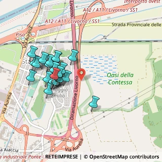 Mappa SGC Fi-Pi-Li, 57014 Collesalvetti LI, Italia (0.45)