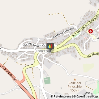 Recapito Pacchi e Lettere - Agenzie,60127Ancona