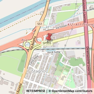 Mappa Via Novi, 39, 57017 Collesalvetti, Livorno (Toscana)