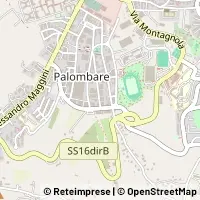 Kart Ancona