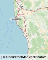 Consulenza del Lavoro Castagneto Carducci,57022Livorno