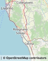 Consulenza del Lavoro Rosignano Marittimo,57016Livorno