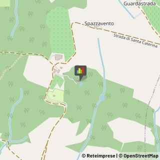 Parchi Divertimento ed Acquatici Castellina in Chianti,53011Siena