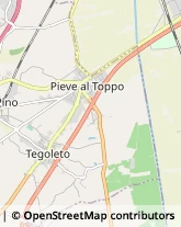 Aziende Agricole Civitella in Val di Chiana,52041Arezzo