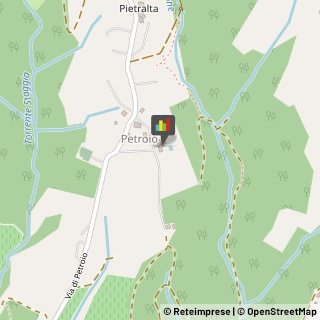 Aziende Agricole,53019Siena