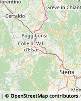 Articoli da Regalo - Dettaglio Castellina in Chianti,53011Siena