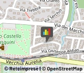 Abbigliamento,57016Livorno