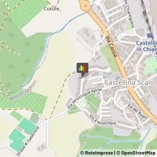 Palestre e Centri Fitness,53035Siena