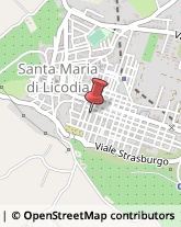 Via La Marmora, 9,95038Santa Maria di Licodia