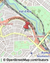 Viale Arrigo Boito, 94,00196Roma