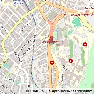 Mappa Via della Pineta Sacchetti,  261, 00168 Roma, Roma (Lazio)