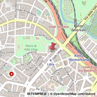 Mappa Via Amatrice, 30, 00199 Roma, Roma (Lazio)