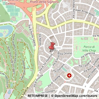Mappa Via Monte delle Gioie, 22, 00199 Roma, Roma (Lazio)