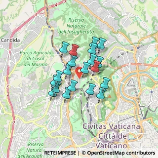 Mappa Via Trionfale, 00168 Roma RM, Italia (1.317)