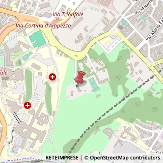 Mappa Via degli Scolopi, 31, 00136 Roma, Roma (Lazio)