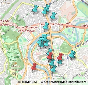 Mappa Via Flaminia, 00197 Roma RM, Italia (0.9515)