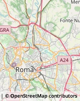 Feste - Organizzazione e Servizi Roma,00199Roma