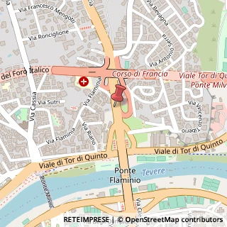 Mappa Corso di francia 137, 00191 Roma, Roma (Lazio)