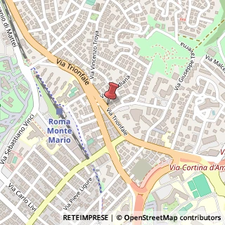 Mappa Via Trionfale, 8578, 00135 Roma, Roma (Lazio)