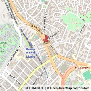 Mappa Via dell'Acquedotto del Peschiera, 96, 00135 Roma, Roma (Lazio)