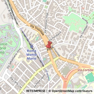 Mappa Via dell'Acquedotto del Peschiera,  114, 00135 Roma, Roma (Lazio)