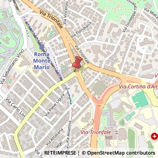 Mappa Via dell'Acquedotto del Peschiera, 182, 00135 Roma, Roma (Lazio)