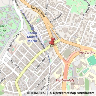 Mappa Viale dei Monfortani, 57, 00135 Roma, Roma (Lazio)