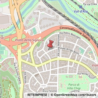 Mappa Viale Arrigo Boito, 71, 00199 Roma, Roma (Lazio)