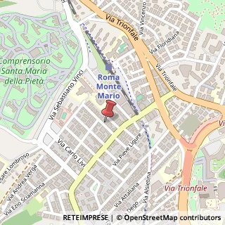 Mappa Via Carlo Francesco Bellingeri, 6, 00168 Roma, Roma (Lazio)