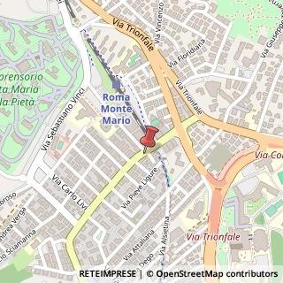 Mappa Via di Torrevecchia, 28, 00168 Roma, Roma (Lazio)