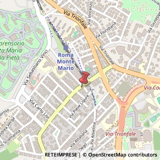 Mappa Via di Torrevecchia, 5a, 00168 Roma, Roma (Lazio)