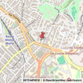 Mappa Via Giuseppe Taverna, 19, 00135 Roma, Roma (Lazio)