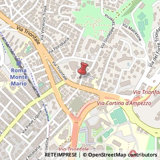 Mappa Via Giuseppe Taverna, 15, 00135 Roma, Roma (Lazio)